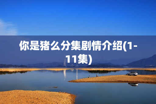 你是猪么分集剧情介绍(1-11集)