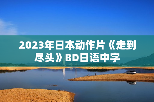 2023年日本动作片《走到尽头》BD日语中字