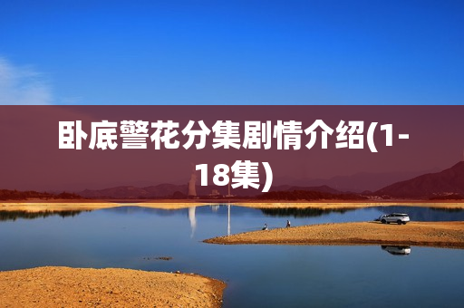 卧底警花分集剧情介绍(1-18集)