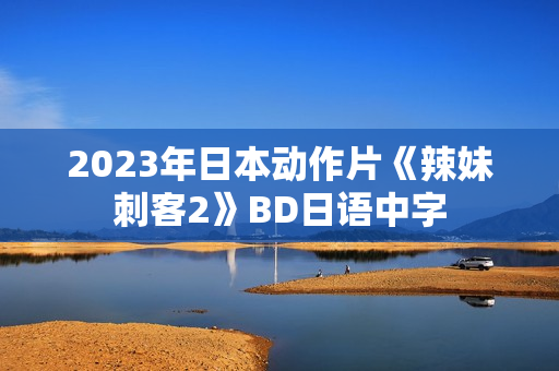 2023年日本动作片《辣妹刺客2》BD日语中字