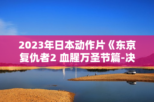 2023年日本动作片《东京复仇者2 血腥万圣节篇-决战 -》BD日语中字