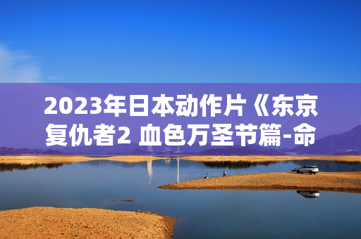2023年日本动作片《东京复仇者2 血色万圣节篇-命运》BD日语中字