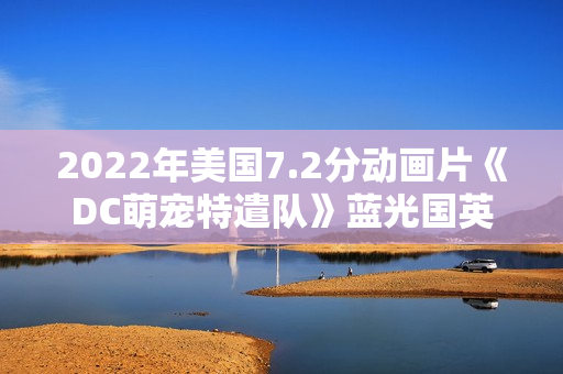 2022年美国7.2分动画片《DC萌宠特遣队》蓝光国英双语双字