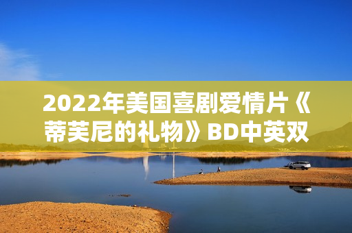 2022年美国喜剧爱情片《蒂芙尼的礼物》BD中英双字