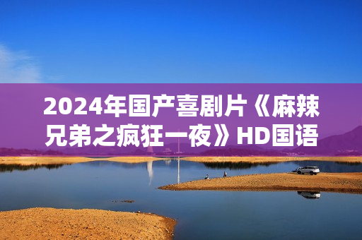 2024年国产喜剧片《麻辣兄弟之疯狂一夜》HD国语中字