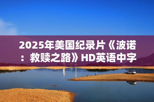 2025年美国纪录片《波诺：救赎之路》HD英语中字