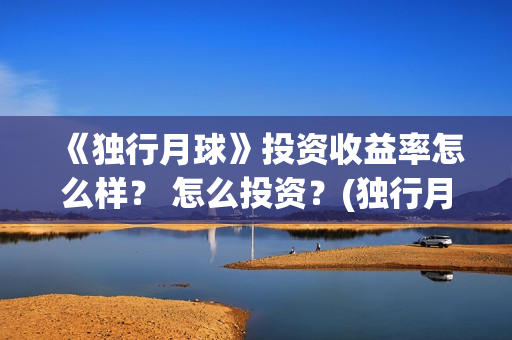 《独行月球》投资收益率怎么样？ 怎么投资？(独行月球发行方)