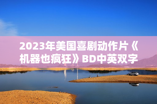 2023年美国喜剧动作片《机器也疯狂》BD中英双字
