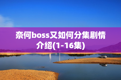 奈何boss又如何分集剧情介绍(1-16集)