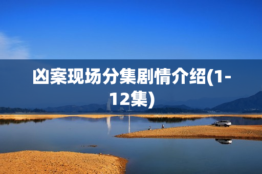 凶案现场分集剧情介绍(1-12集)