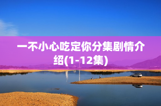 一不小心吃定你分集剧情介绍(1-12集)