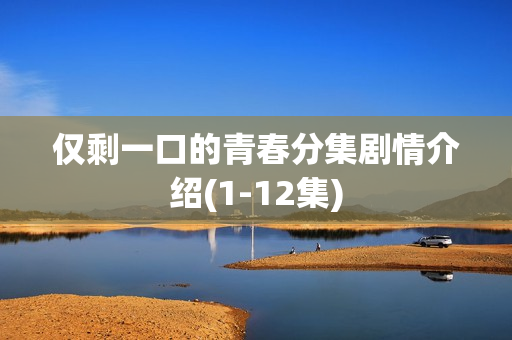 仅剩一口的青春分集剧情介绍(1-12集)