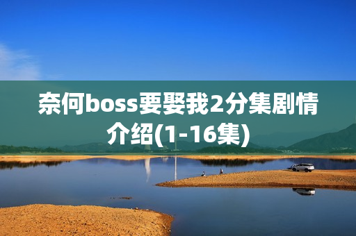 奈何boss要娶我2分集剧情介绍(1-16集) 奈何boss要娶我2分集剧情介绍(1-16集)