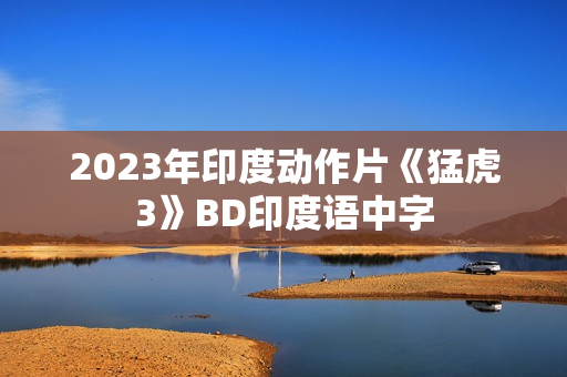 2023年印度动作片《猛虎3》BD印度语中字