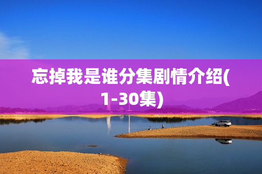 忘掉我是谁分集剧情介绍(1-30集)