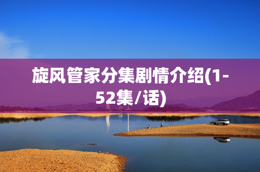 旋风管家分集剧情介绍(1-52集/话)