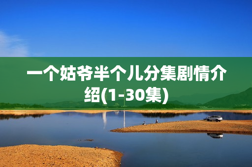 一个姑爷半个儿分集剧情介绍(1-30集)