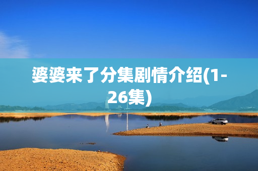 婆婆来了分集剧情介绍(1-26集)