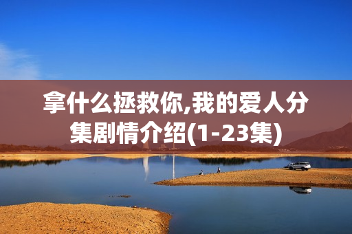 拿什么拯救你,我的爱人分集剧情介绍(1-23集)