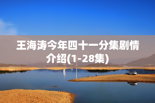 王海涛今年四十一分集剧情介绍(1-28集)