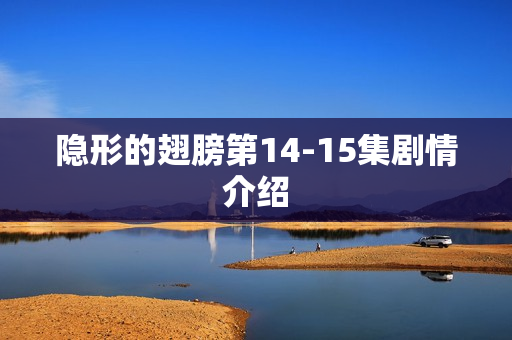 隐形的翅膀第14-15集剧情介绍