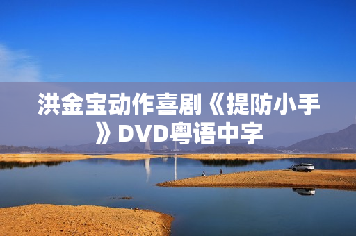 洪金宝动作喜剧《提防小手》DVD粤语中字