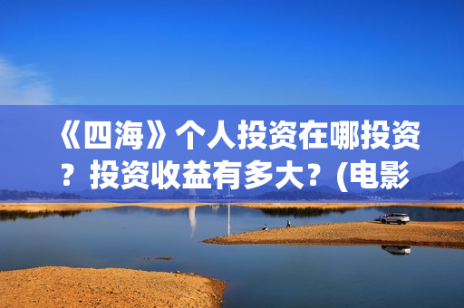《四海》个人投资在哪投资？投资收益有多大？(电影《四海》)