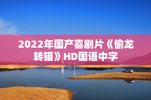 2022年国产喜剧片《偷龙转猫》HD国语中字