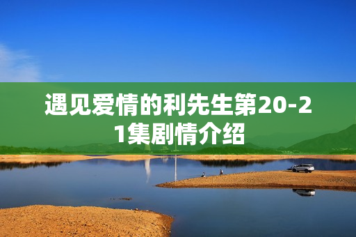 遇见爱情的利先生第20-21集剧情介绍 遇见爱情的利先生第20-21集剧情介绍
