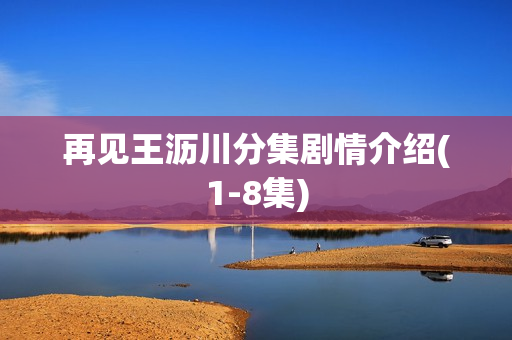 再见王沥川分集剧情介绍(1-8集) 再见王沥川分集剧情介绍(1-8集)