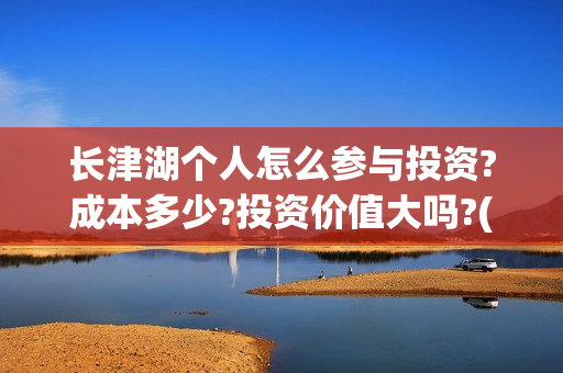 长津湖个人怎么参与投资?成本多少?投资价值大吗?(长津湖到底如何)