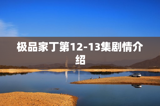 极品家丁第12-13集剧情介绍