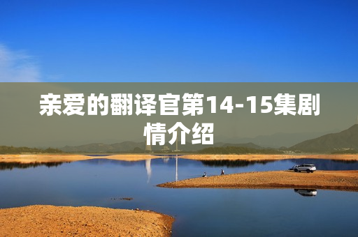 亲爱的翻译官第14-15集剧情介绍