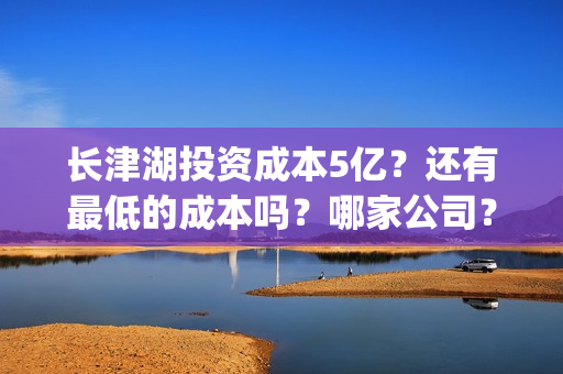 长津湖投资成本5亿？还有最低的成本吗？哪家公司？(长津湖 投资成本)