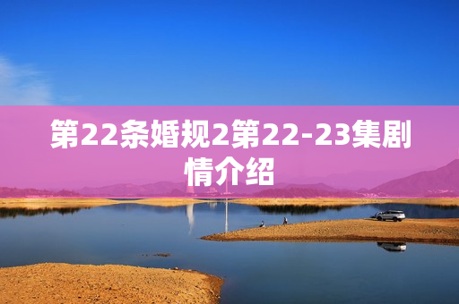 第22条婚规2第22-23集剧情介绍