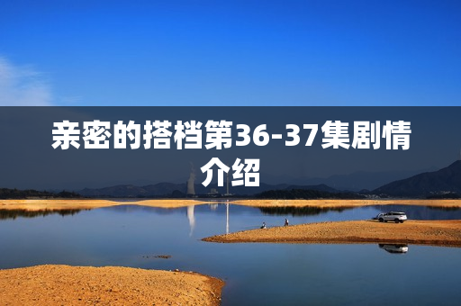 亲密的搭档第36-37集剧情介绍