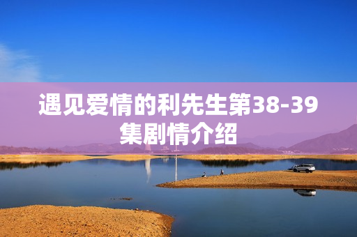 遇见爱情的利先生第38-39集剧情介绍