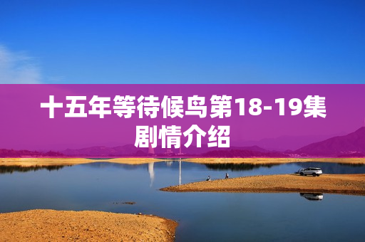 十五年等待候鸟第18-19集剧情介绍