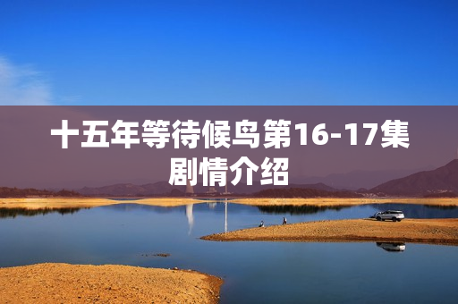 十五年等待候鸟第16-17集剧情介绍