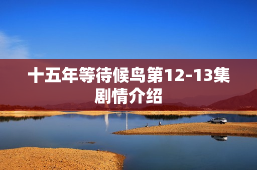 十五年等待候鸟第12-13集剧情介绍