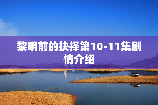 黎明前的抉择第10-11集剧情介绍