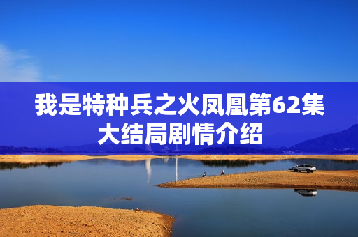 我是特种兵之火凤凰第62集大结局剧情介绍