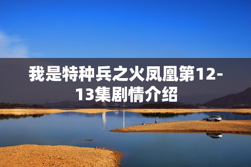 我是特种兵之火凤凰第12-13集剧情介绍