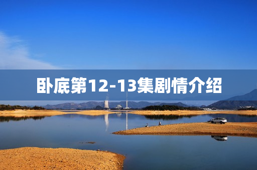 卧底第12-13集剧情介绍