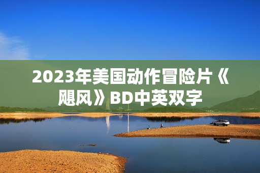 2023年美国动作冒险片《飓风》BD中英双字
