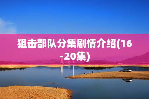 狙击部队分集剧情介绍(16-20集)
