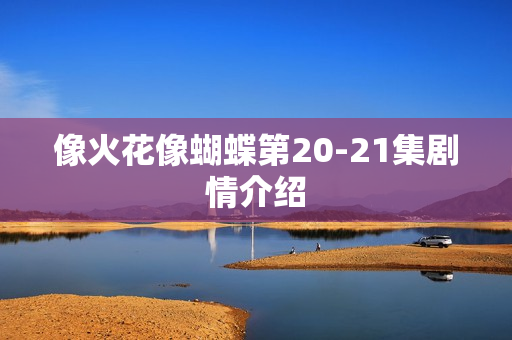 像火花像蝴蝶第20-21集剧情介绍