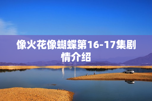 像火花像蝴蝶第16-17集剧情介绍