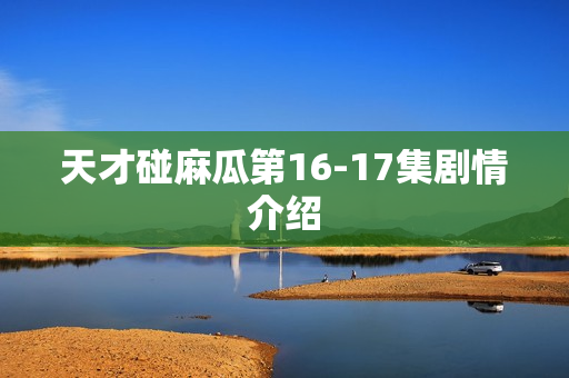 天才碰麻瓜第16-17集剧情介绍