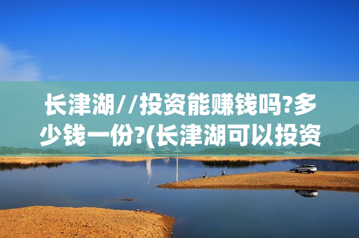 长津湖//投资能赚钱吗?多少钱一份?(长津湖可以投资吗)